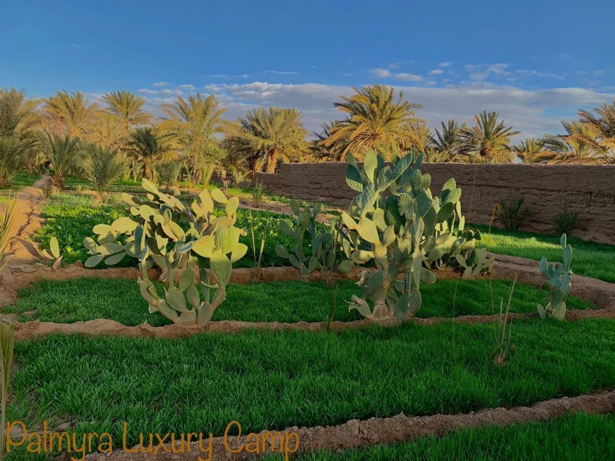 Отель Palmyra Luxury Camp Мерзуга Экстерьер фото